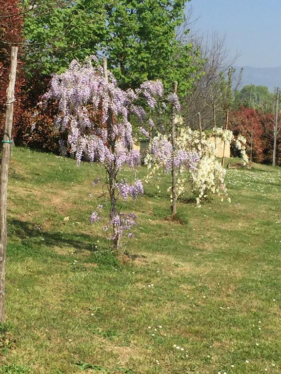 Appartement Gabbiano Podere Casanova