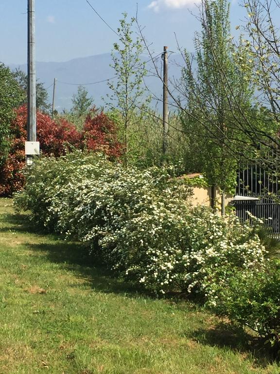 Gabbiano Podere Casanova Pistoia