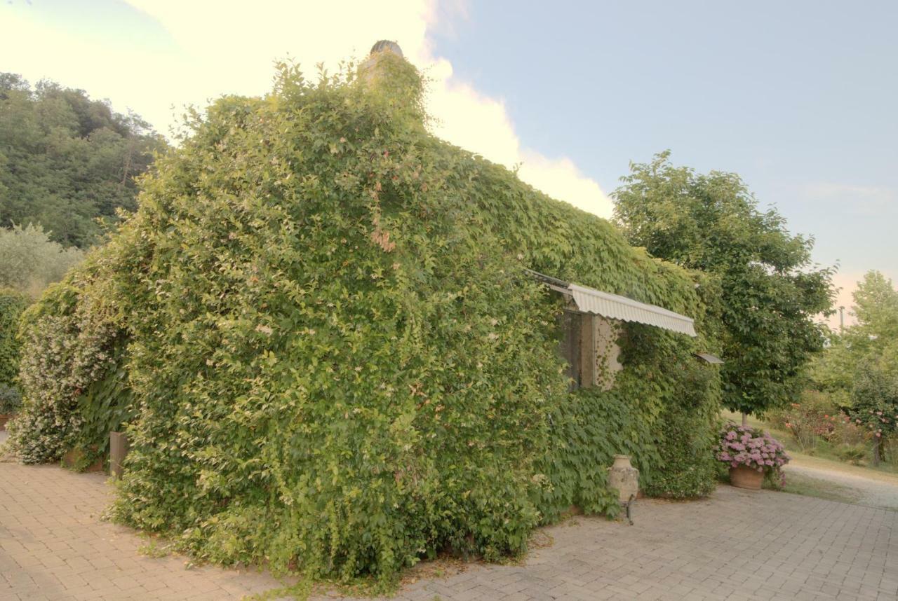 Gabbiano Podere Casanova Appartement