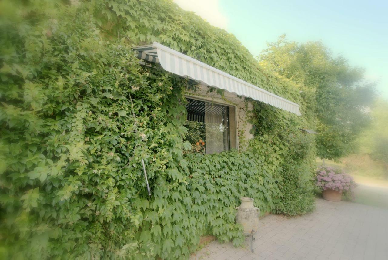 Gabbiano Podere Casanova Pistoia